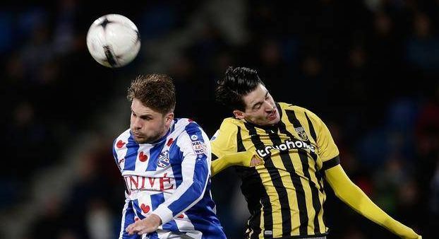 蛋白质和适 蛋白质和适