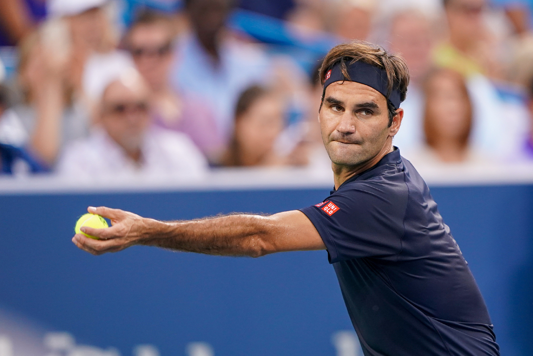 了更为丰富 了更为丰富