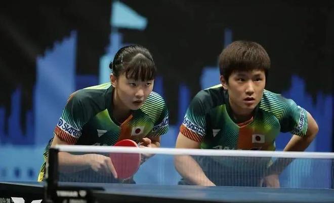 近年来展现 近年来展现