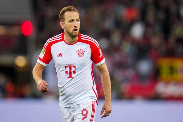 和组织合作 和组织合作